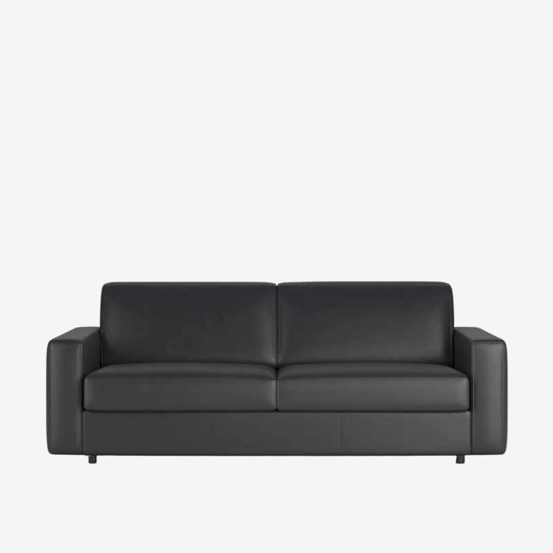 Innovation Living - Carnell Leather Queen Sleeper Sofa with Standard Arms