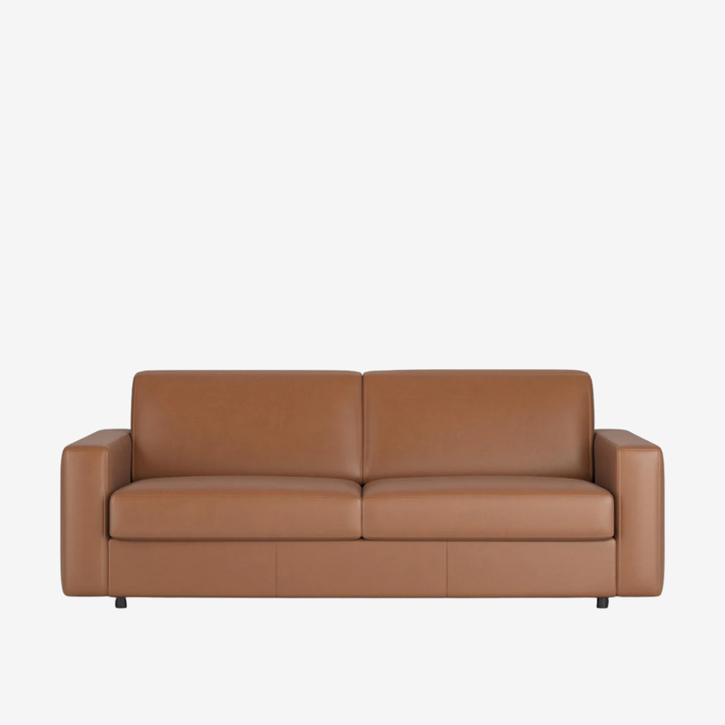 Innovation Living - Carnell Leather Queen Sleeper Sofa with Standard Arms