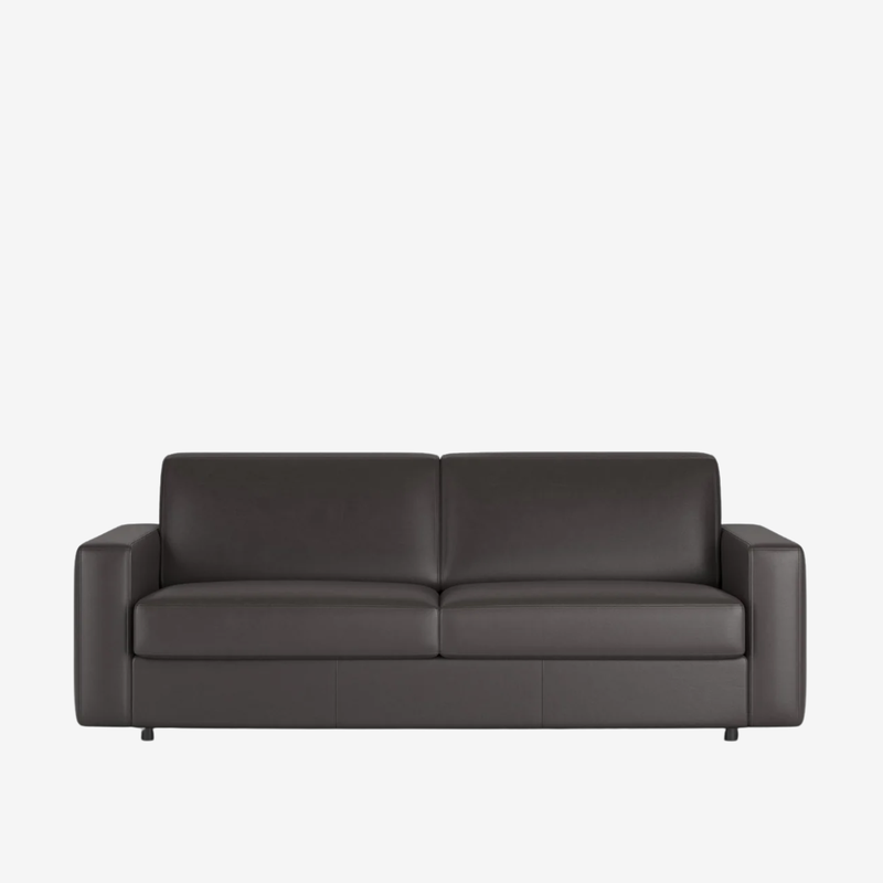 Innovation Living - Carnell Leather Queen Sleeper Sofa with Standard Arms