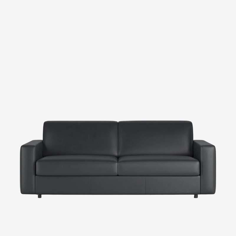 Innovation Living - Carnell Leather Queen Sleeper Sofa with Standard Arms