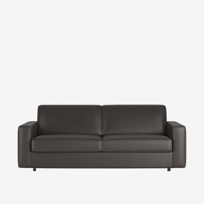 Innovation Living - Carnell Leather Queen Sleeper Sofa with Standard Arms