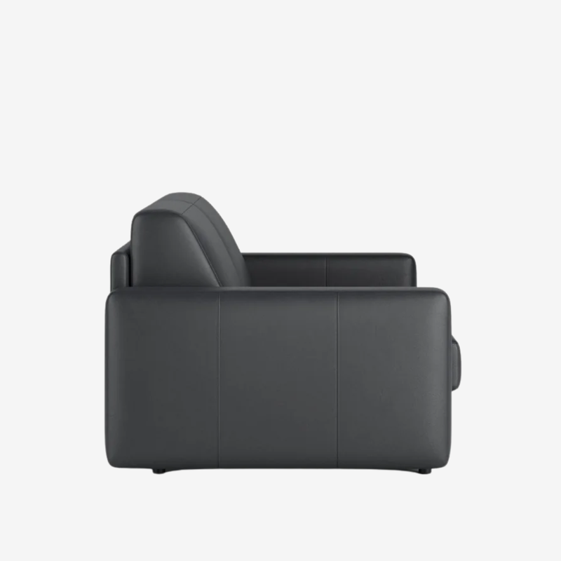 Innovation Living - Carnell Leather Queen Sleeper Sofa with Standard Arms